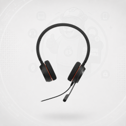 Diadema Jabra Evolve 20 Duo Estero con Cancelación de Ruido Usb 4999-823-169 Systore Colombia