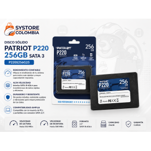 Disco Solido Sata3 256gb Patriot P210P210S256G25